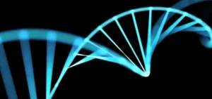 What-you-should-know-before-scaling-your-Life