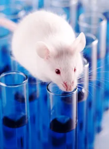 life-sciences-lab-spaces-for-lease-CRO-CDMA