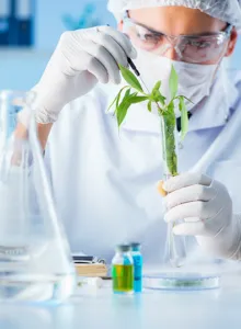 lab-lease-rent-for-biotech-companies